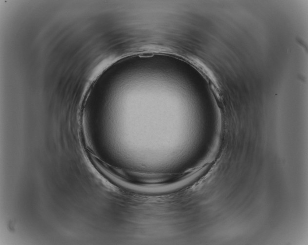 X0000090961381200708301153