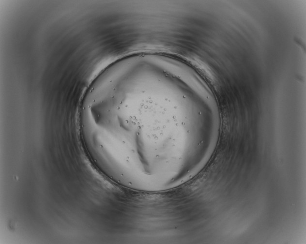 X0000090961382200708301153