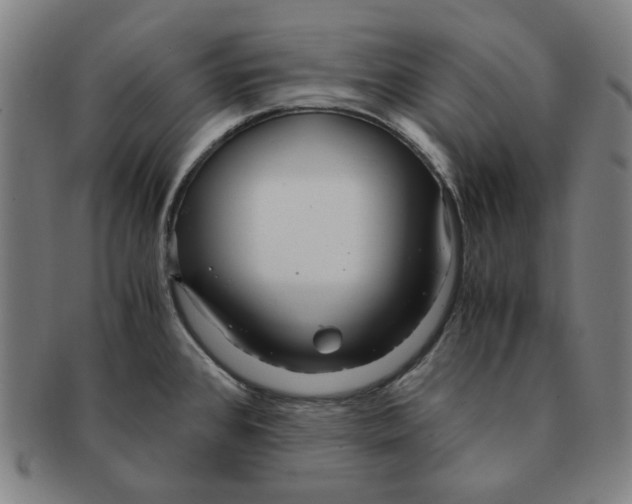 X0000090961384200708301153