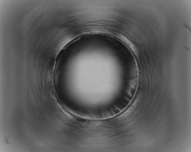 X0000090961385200708301152