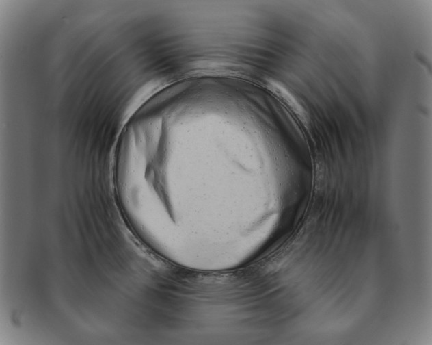 X0000090961386200708301152