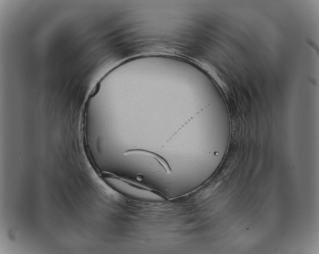 X0000090961387200708301152