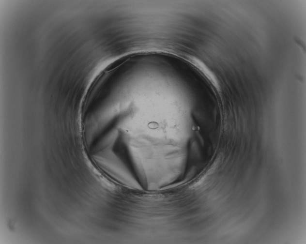 X0000090961388200708301152