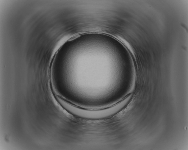 X0000090961389200708301152