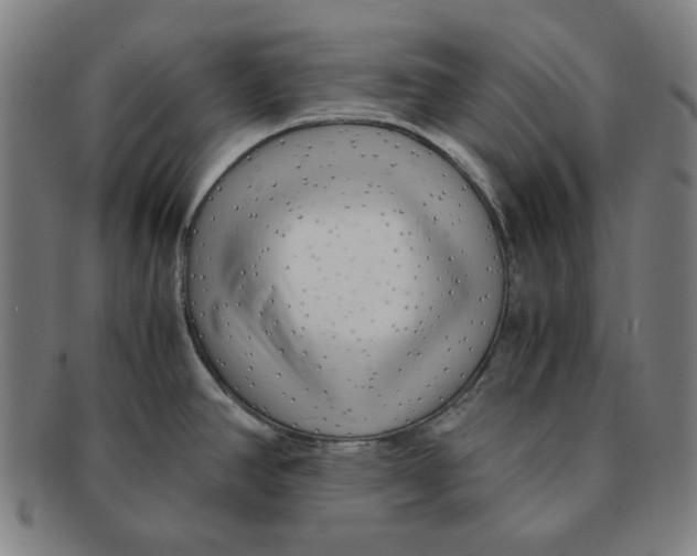 X0000090961390200708301152