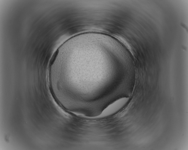 X0000090961391200708301152