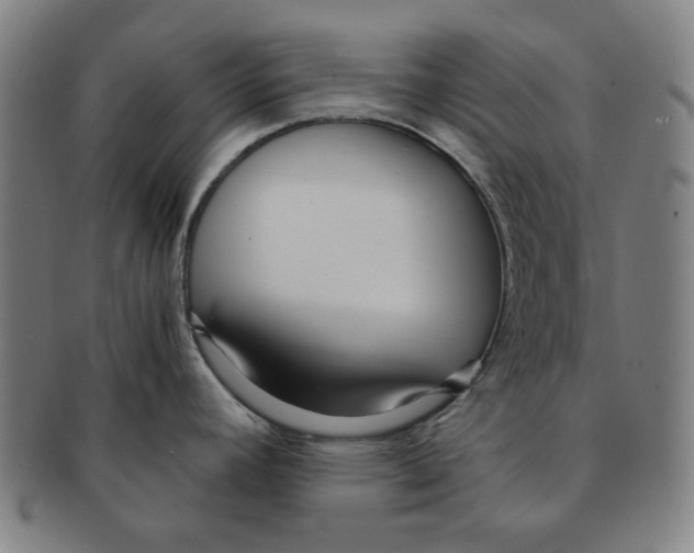 X0000090961392200708301152