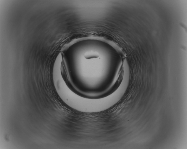 X0000090961394200708301152