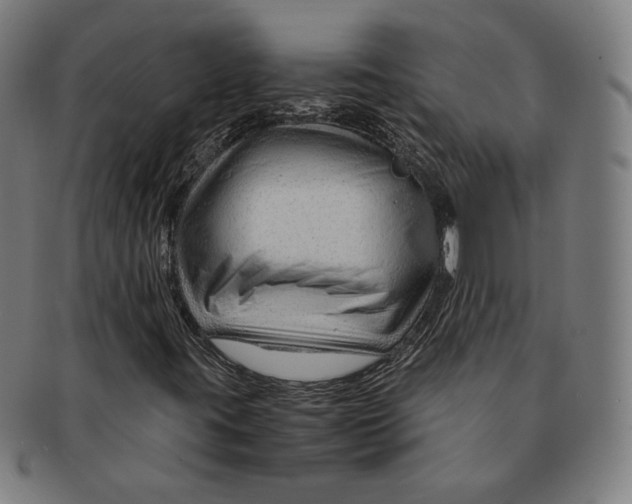 X0000090961395200708301152