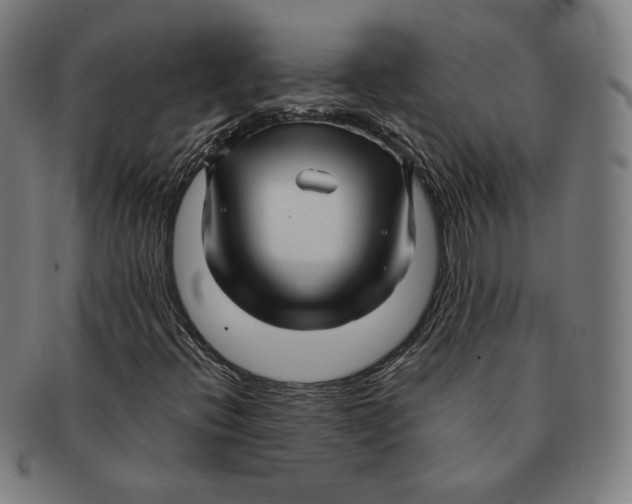 X0000090961396200708301152