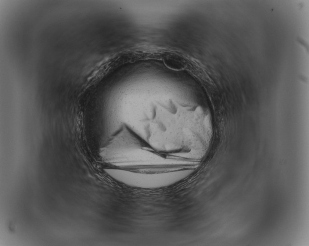 X0000090961397200708301152