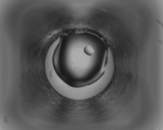 X0000090961398200708301152