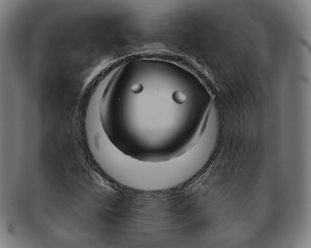 X0000090961400200708301152