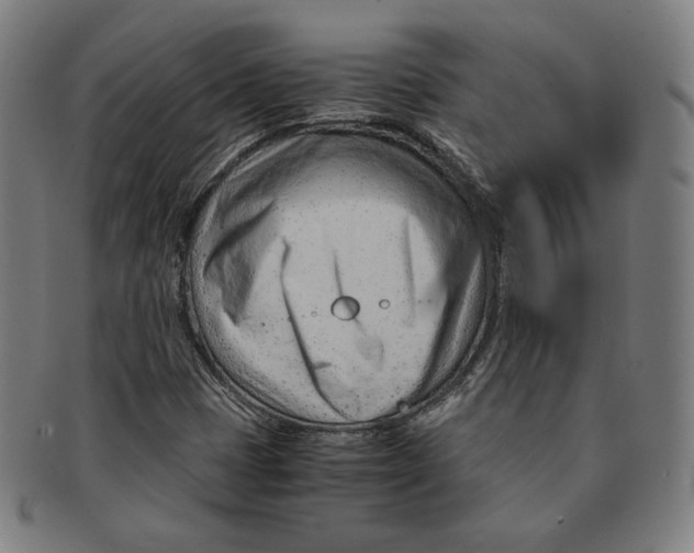 X0000090961401200708301152