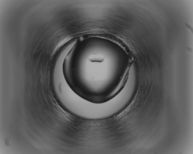 X0000090961402200708301152