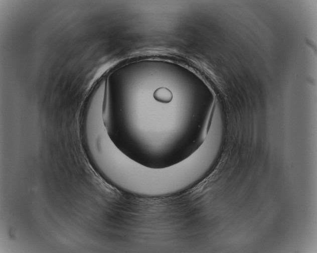 X0000090961404200708301152