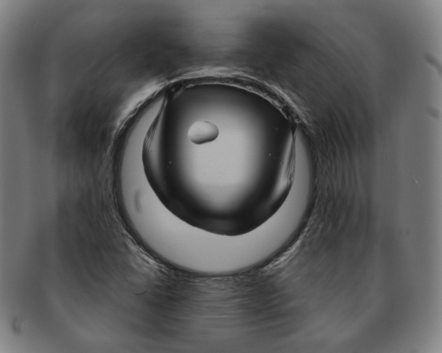 X0000090961406200708301152