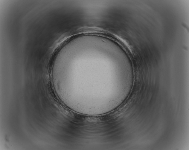 X0000090961407200708301152