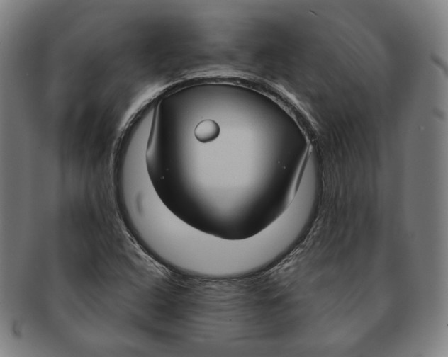 X0000090961408200708301152