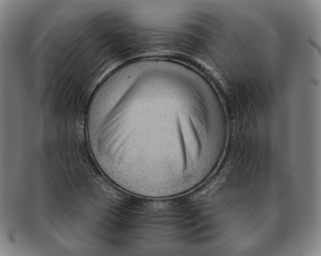 X0000090961409200708301152