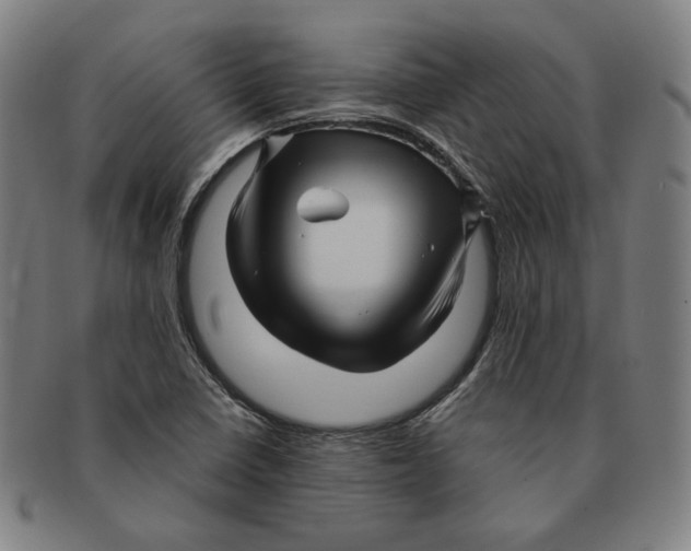 X0000090961410200708301152