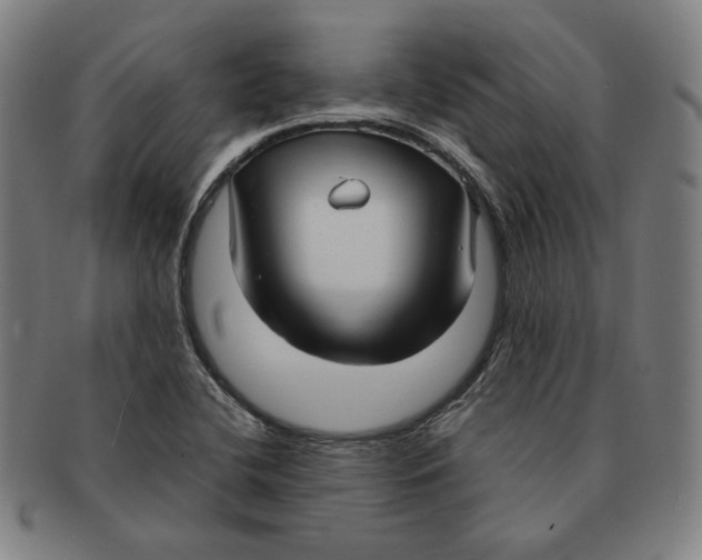 X0000090961412200708301152