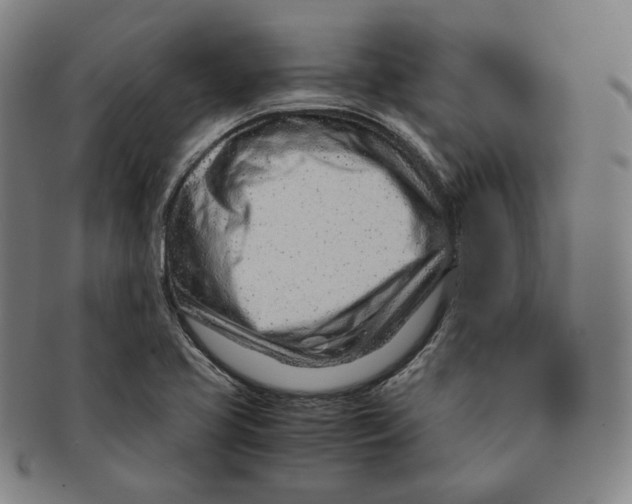 X0000090961413200708301152