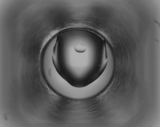 X0000090961414200708301152