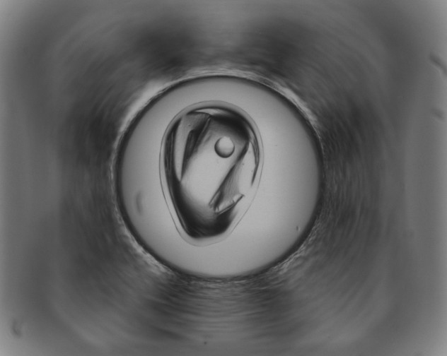 X0000090961416200708301152