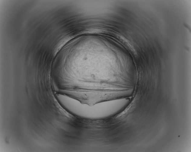 X0000090961417200708301152