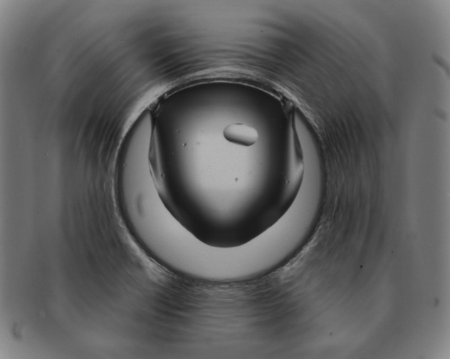 X0000090961418200708301152