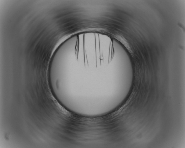 X0000090961420200708301152