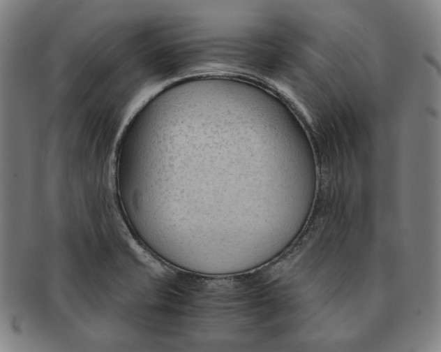 X0000090961421200708301152