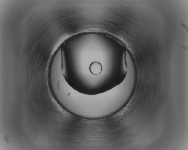 X0000090961422200708301152