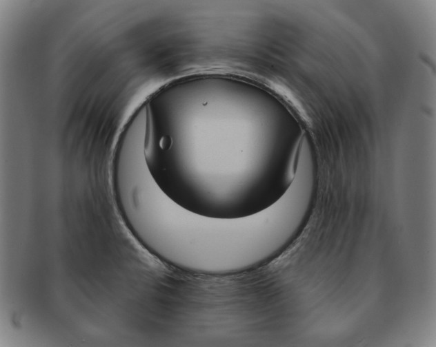 X0000090961424200708301152