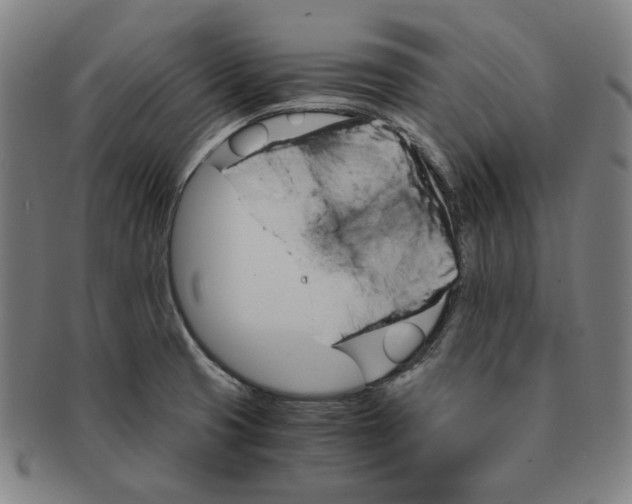 X0000090961425200708301152