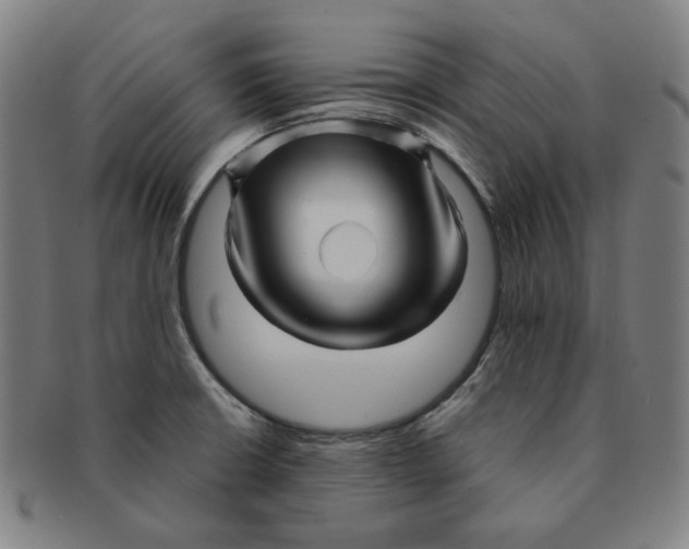 X0000090961426200708301152