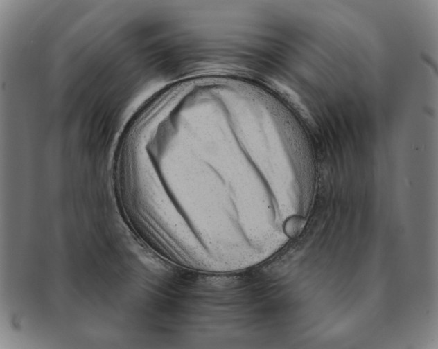 X0000090961427200708301152