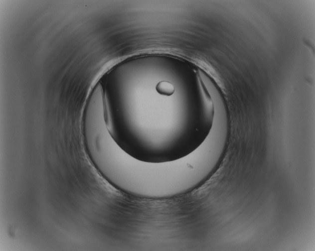 X0000090961428200708301152