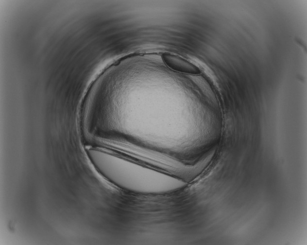 X0000090961429200708301152