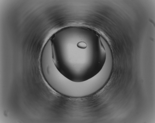 X0000090961432200708301152