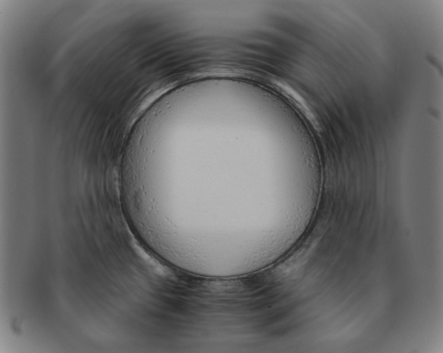 X0000090961433200708301152