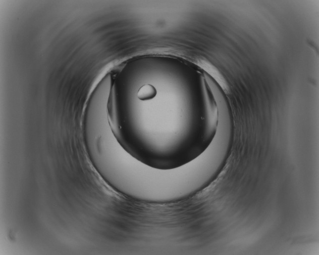 X0000090961436200708301152