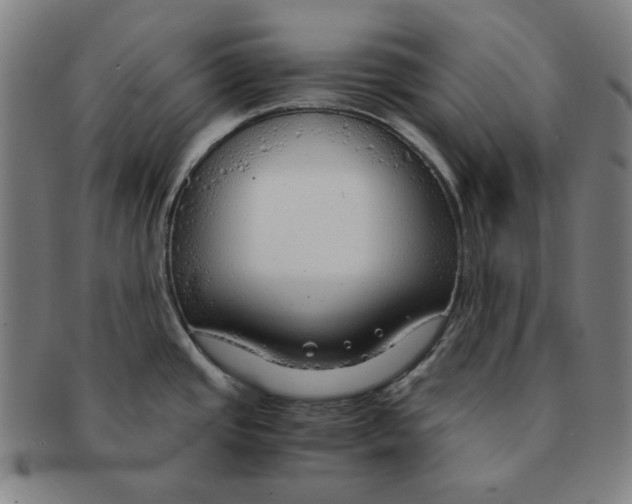 X0000090961437200708301152