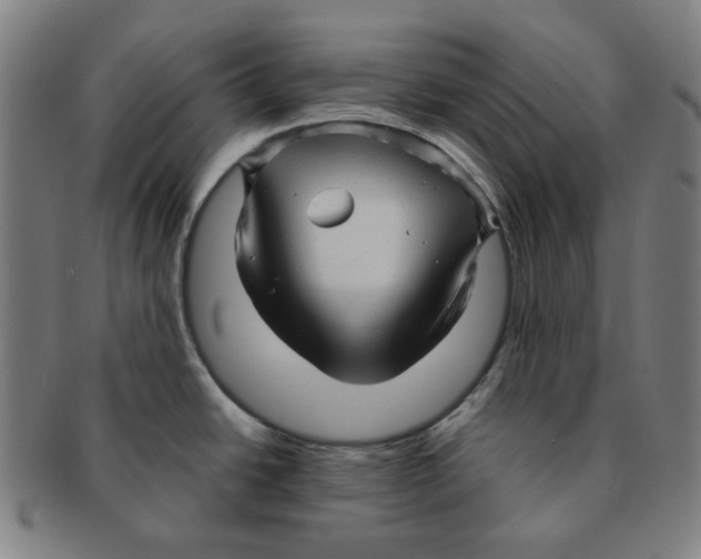 X0000090961438200708301152