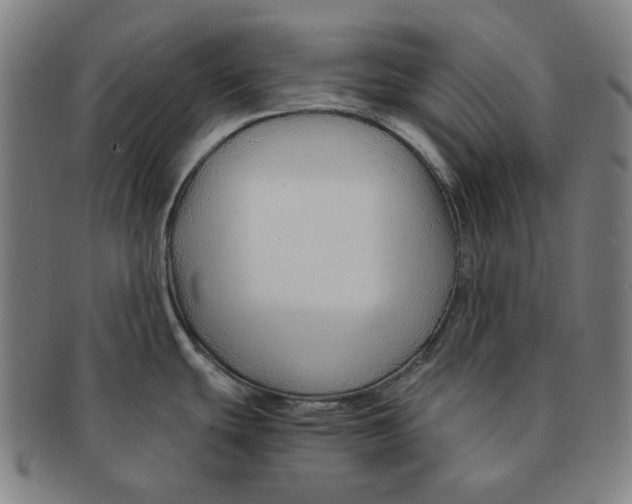 X0000090961439200708301152