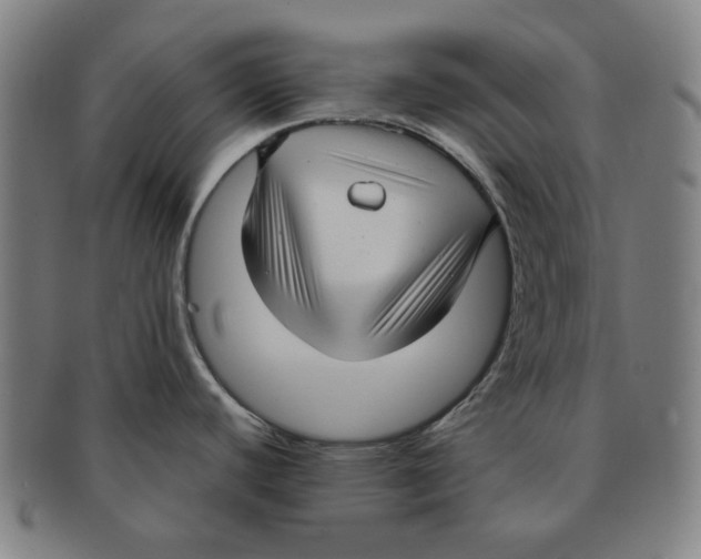 X0000090961440200708301152