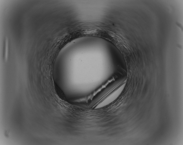 X0000090961441200708301152