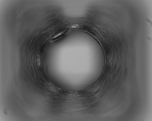 X0000090961442200708301152