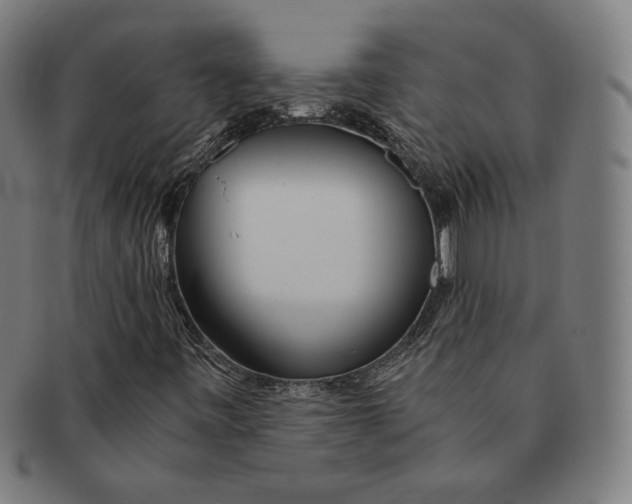 X0000090961443200708301152